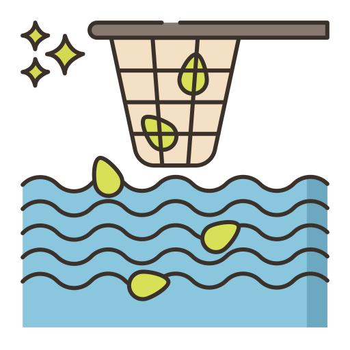 service